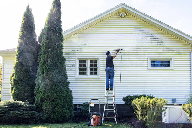 Best Fence Cleaning  in River Edge, NJ